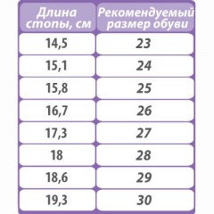 Сапожки ортопедические с мехом TW-505